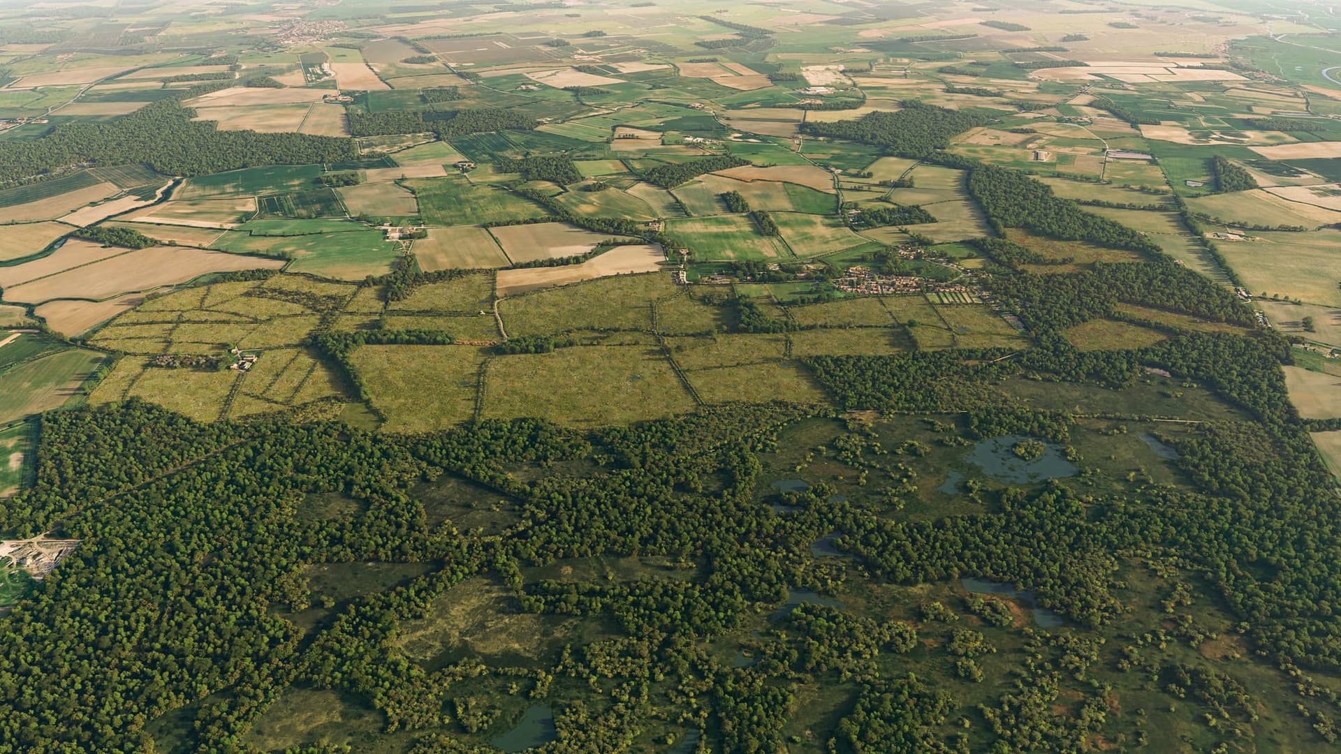 Escrick Park Estate to deliver new green initiative