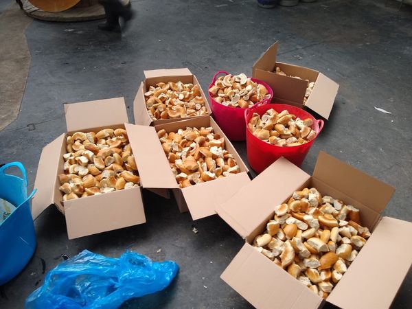 Leeds-based Nomadic Beers and Bagel Nash team up
to brew surplus bagel beer