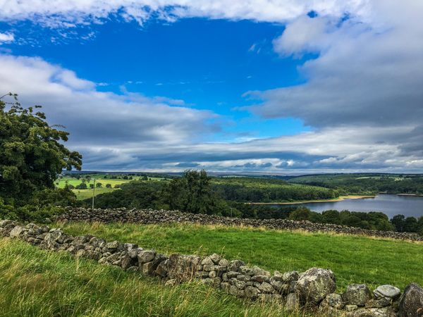 Applications open for young farmer opportunity