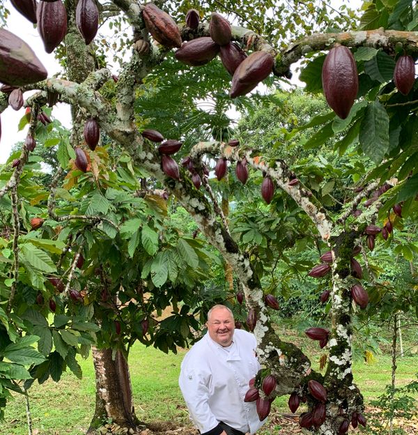 Coeur de Xocolat scoops International Gold award
