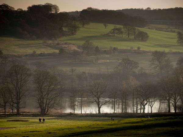 The Oak Project announces  partnership with Yorkshire Sculpture Park & University of Derby