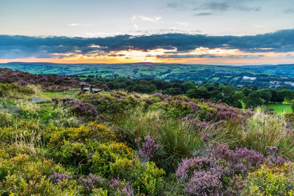 Innovative companies selected for green accelerator programme