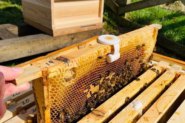 York Biotech Campus welcomes two innovative start-ups to site