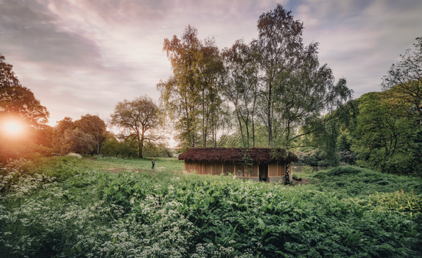 How art could save us from extinction