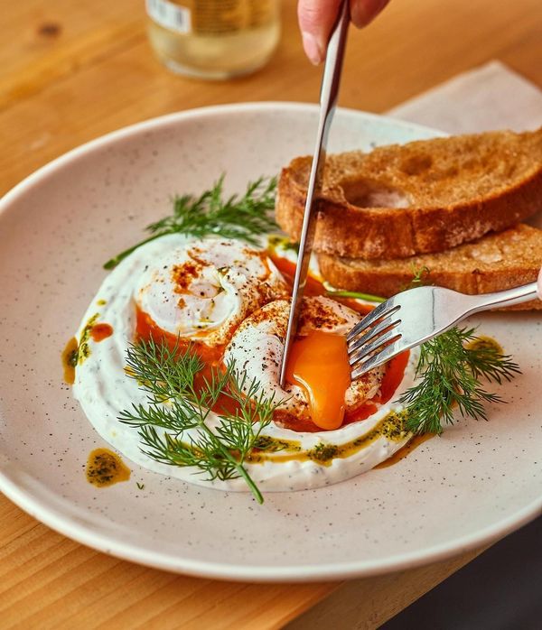 House of Koko head to Oakwood