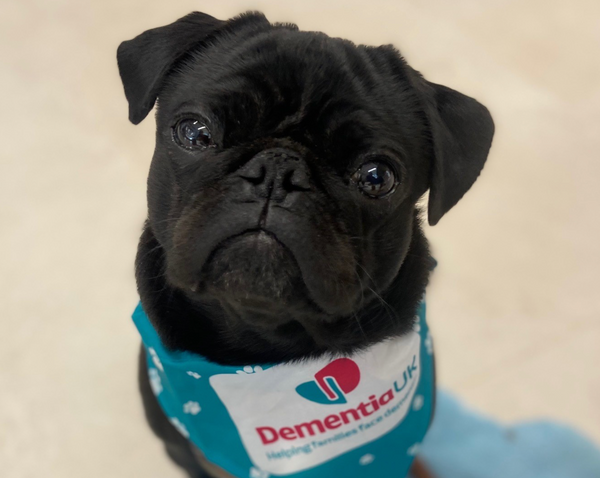 Four-legged friends help Leeds Building Society raise £9,000 for Dementia UK