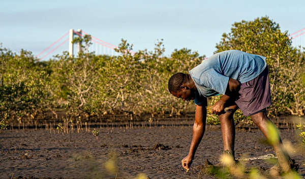 Infinity Inc. branches out with planting and conservation initiative