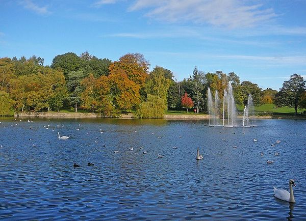 Leeds City Council  scraps idea for parking charges in parks