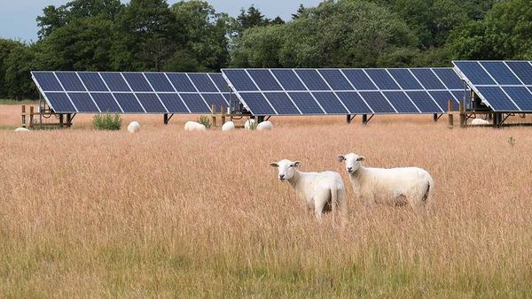 4 ways farmers can become more energy efficient and reduce their expenses