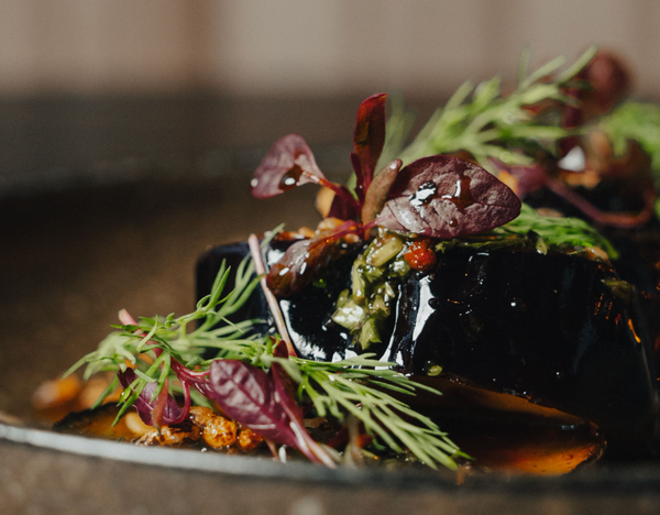 Local, Foraged & Fresh – New Menu Launch for York’s ‘Waste-Less’ Neighbourhood Restaurant