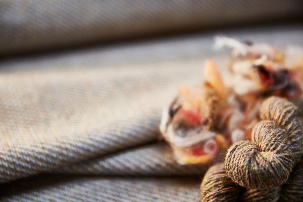 Camira sparks textile ‘Revolution’