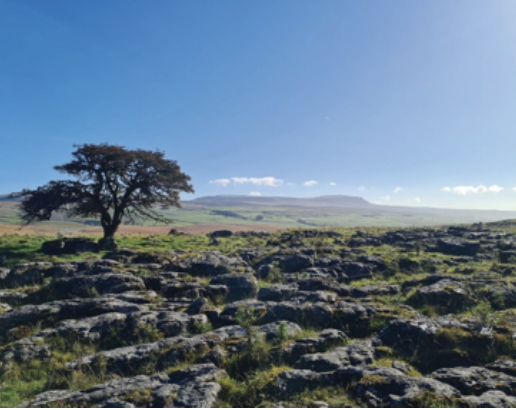 Bedmaker in new collaboration with Wild Ingleborough