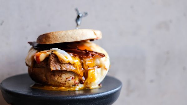 The Owl takes flight for a new chapter