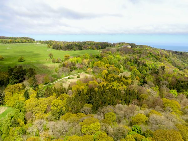 Mulgrave Estate to discuss plans to plant over 300,000 trees