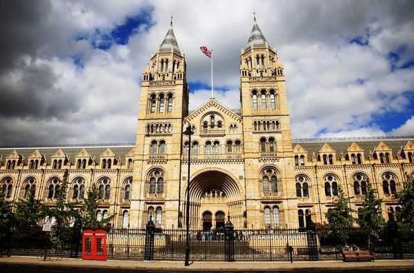 Yorkshire-made linseed paint chosen for £20m Natural History Museum renovation