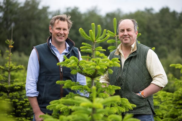 Leading Yorkshire Christmas tree grower makes the case for sustainability