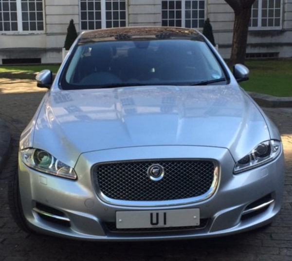 Bidders invited to step up to the plate as historic sale begins